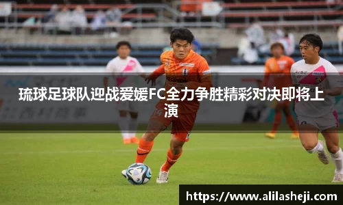 芒果体育